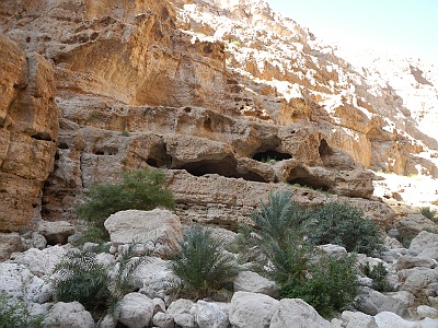 113 Oasis wadi shab